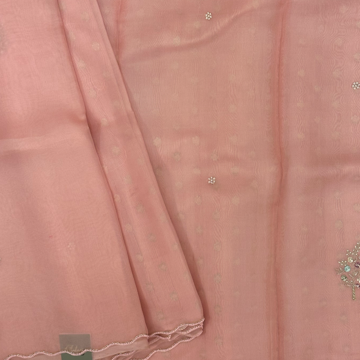 Light Pink Silk Organza Saree with Hand Embroidery & Scallop Border